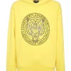 Hoodie Sweatshirt Tiger